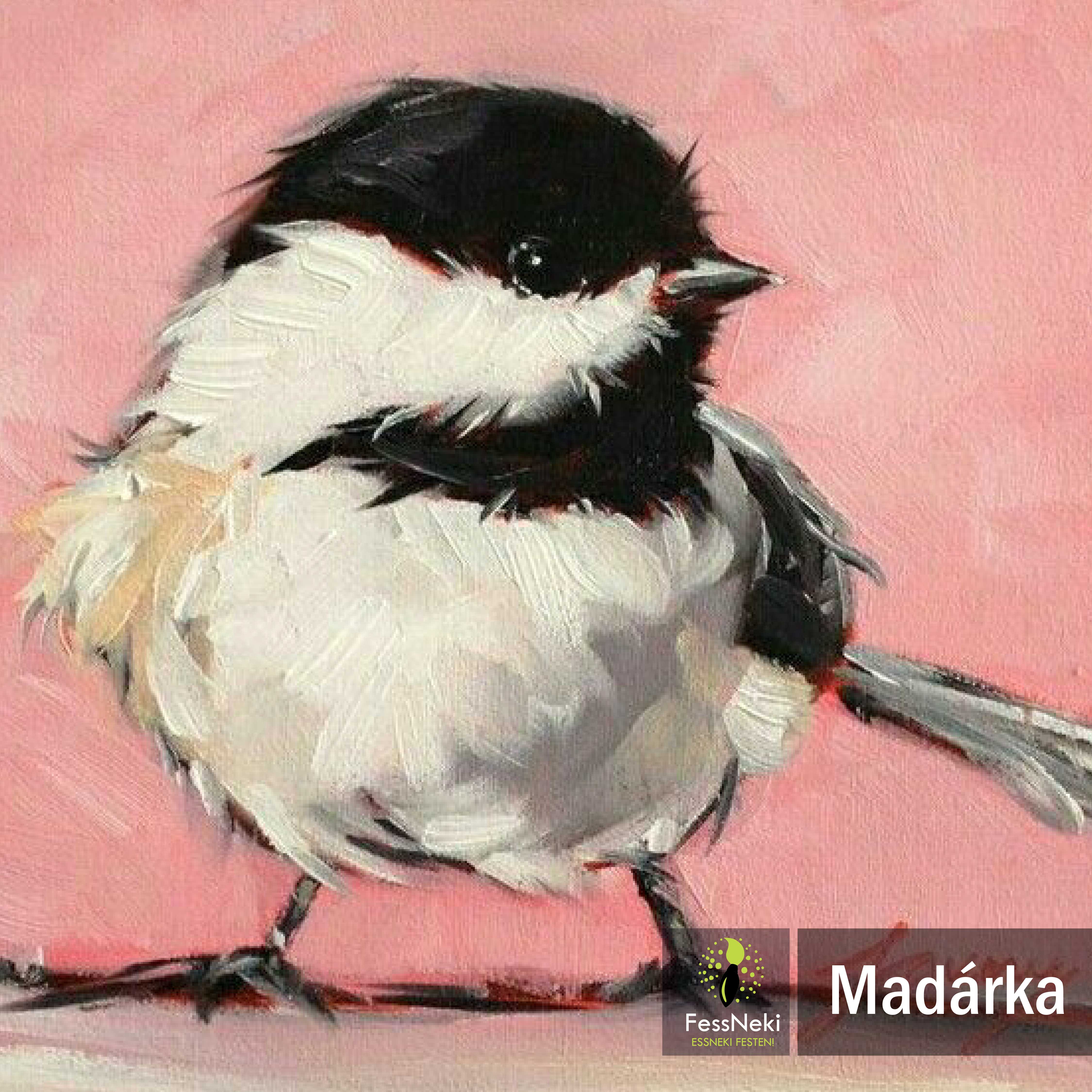 FessNeki : My little bird